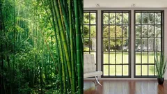 Il vetro non serve più? In Cina stanno testando finestre in bambù trasparente